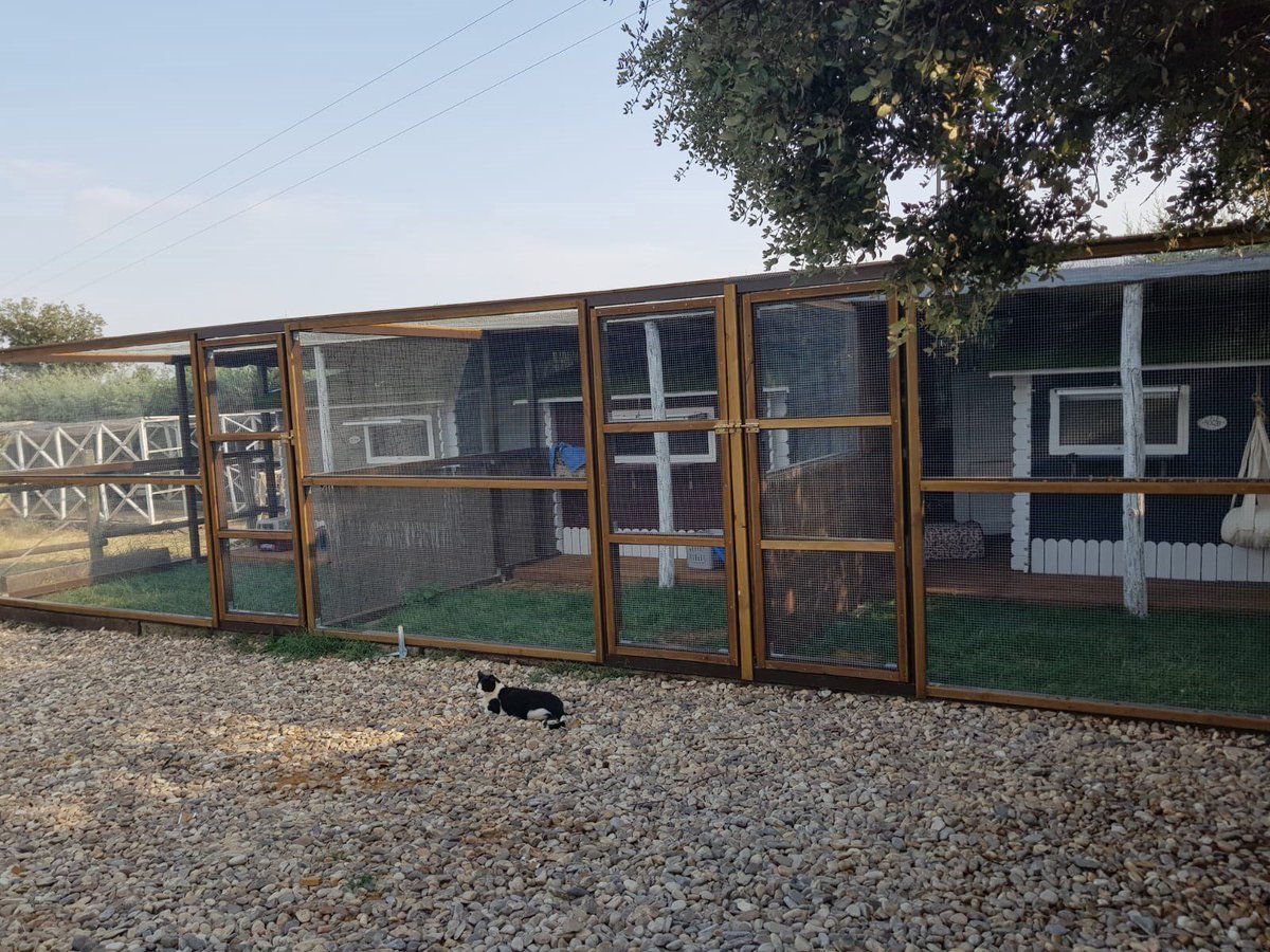 EFEverde's tweet photo. Un hotel para gatos @Gatosphera con suites “de lujo” https://t.co/kDBw7deNgF #biodiversidad #Mascotas https://t.co/bH6zOzBllo