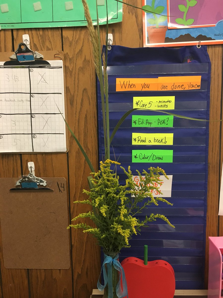 Mueller2004's tweet image. Picked some goldenrod and little blue steam on the way to school this morning from the ditch in a dress. #statesymbols #dedication #emwolves