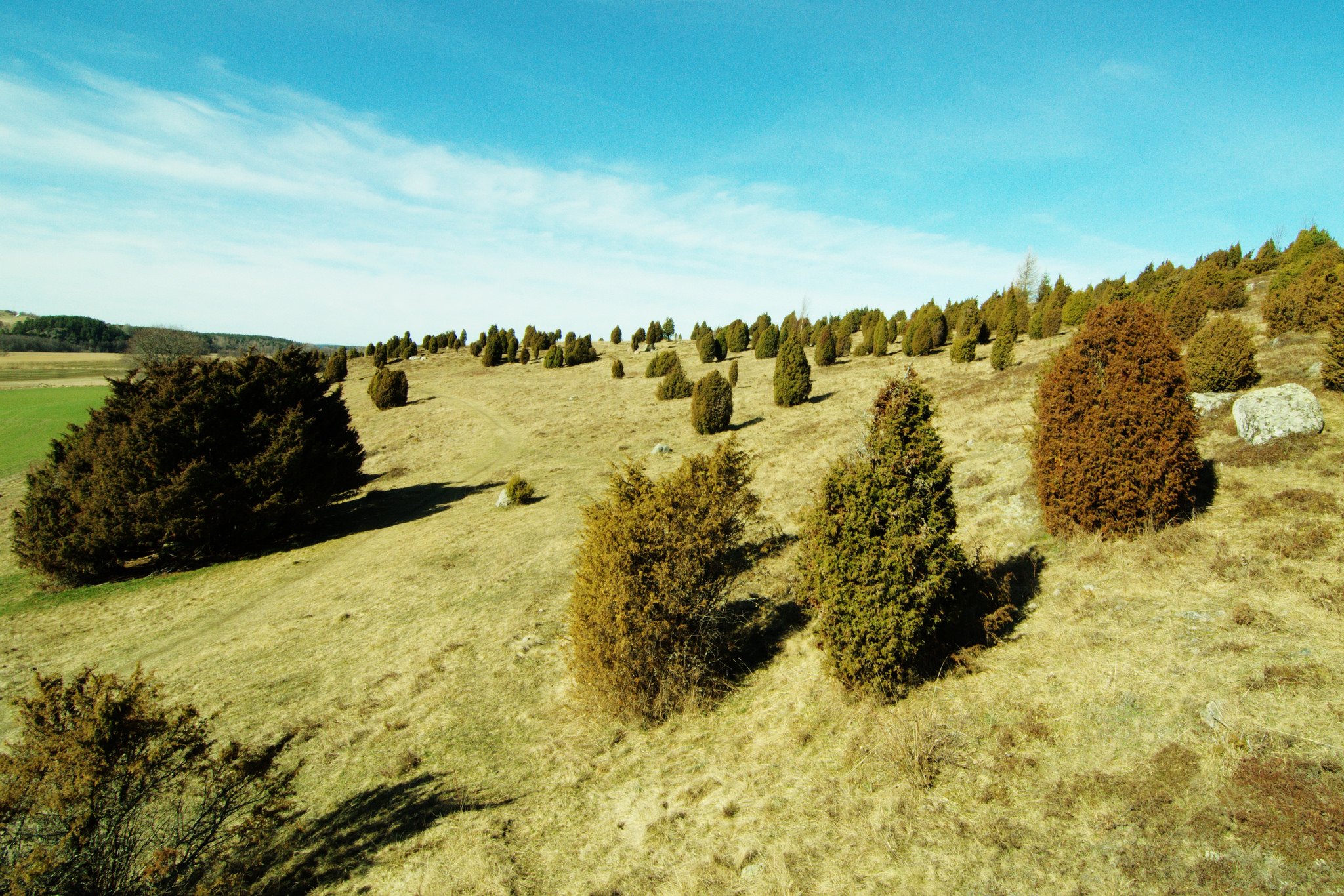 Alistair Auffret on Twitter: "Our new study of 70 years of land-use