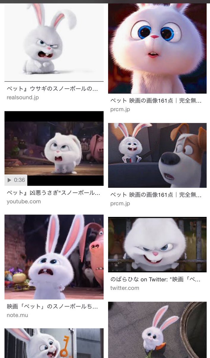 ペット うさぎ スノー ボール