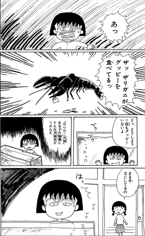 町ル田 ちびまる子ちゃんで一番印象に残ってる回は まるちゃん熱帯魚を飼う お姉ちゃんが知り合いにグッピー を貰ってきて最初は愛でてるんだけど 水槽が寂しいからとザリガニを入れてしまい という話 夢の国からザリガニ天国への転換が激しすぎる 笑