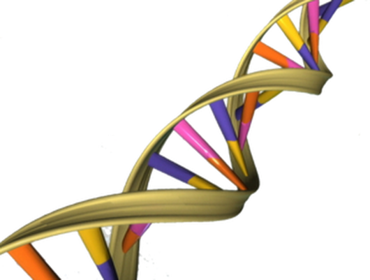 TheSearchEnders's tweet photo. We may ask you to initiate a DNA search with us to locate your loved one.

  To know more - https://t.co/9QUEGYczEI https://t.co/mWDXGF79sb