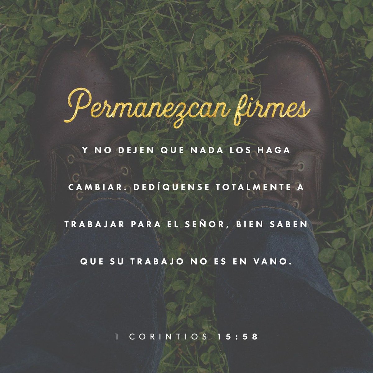FlorVictor_'s tweet photo. https://t.co/FGhiLDWs2m