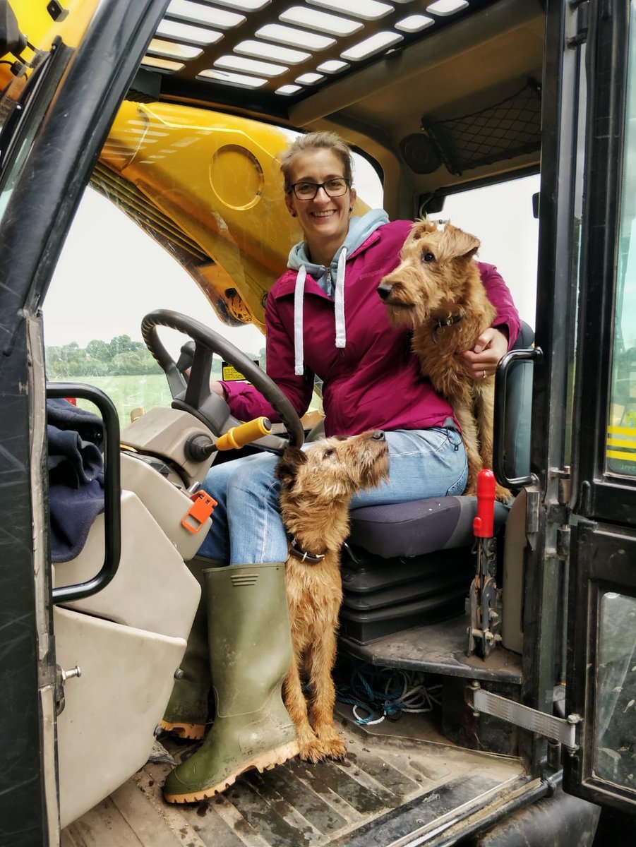 Camilla_Strang's tweet photo. These two farmhands insist on supervising my @JCBmachines driving.
#FarmLife #IrishTerriers #BestAdviceFromMyDog https://t.co/ePK8KLRCsv