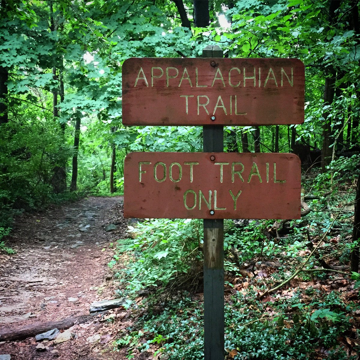VisitHagerstown's tweet photo. Enjoy the outdoors as you follow the white blazes on the #AppalachianTrail! South Mountain Recreation Area is offering an AT hike this Wednesday, 8/29 at 9 am. The hike begins at Gathland and travels north to White Rock and back for a total of 7.2 miles. #letsgohiking #mddnr https://t.co/65Ut6phi1N