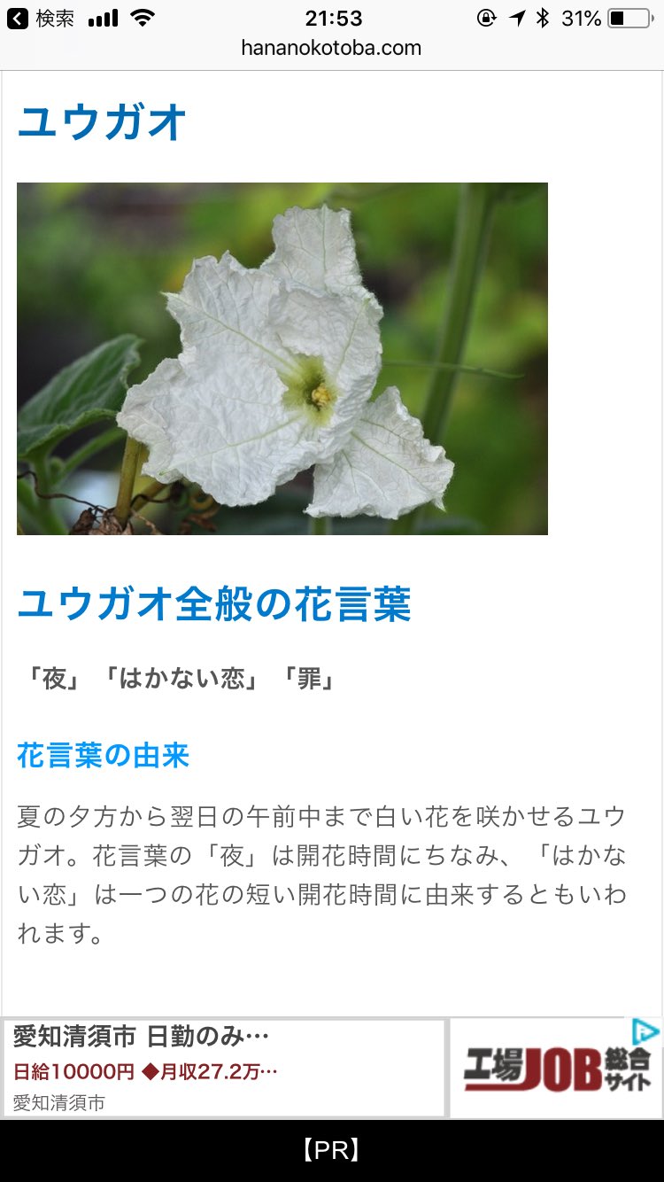 メーたん おいでよ横浜町田 8月27日 グレゴリオ暦で 年始から239日 閏年では240日 年末まで126日 誕生花 ホウセンカ 鳳仙花 英 Impatiens 花言葉 私に触れないで 短気 ユウガオ 夕顔 英 Bottle Gourd 花言葉 夜 はかない恋 罪 ヒペリカム