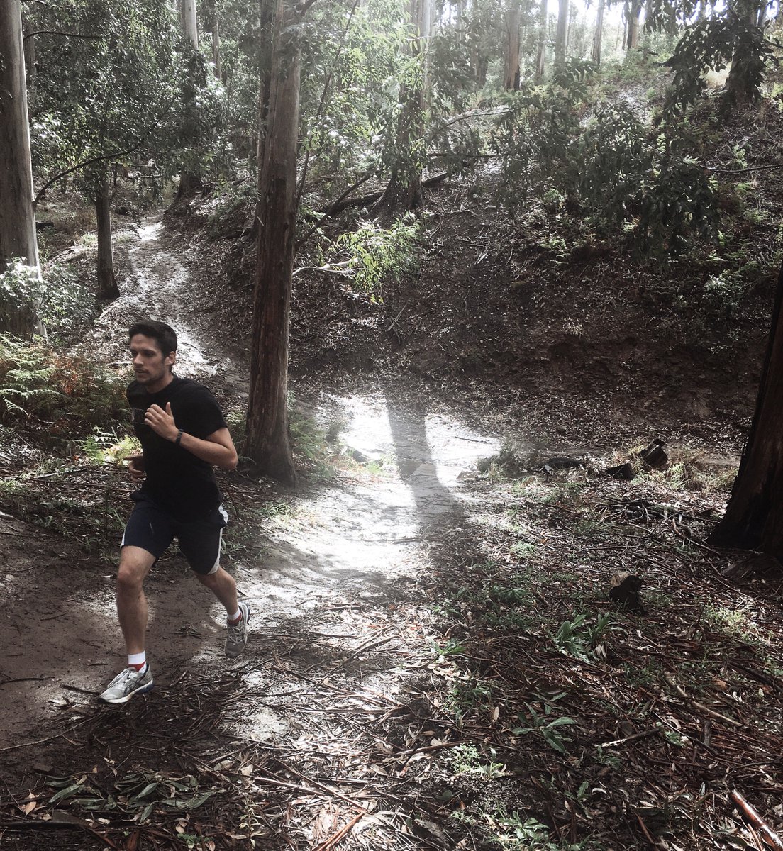 MAD_davidh's tweet photo. Forests and Rain #RunRideRepresent #MAD2Run19 #MADLove #EMStraining #TrailRun #TrainHard #Outdoor #FitnessMotivation #Fitspo #GetFit #FitnessGoals #SeenOnMyRun #runner #fit #runtoinspire #instarun #Cardio #FitFam #Fitness #GetHealthy #GetOutside #GetStrong #Believe #marathon https://t.co/LGtGu2XD68