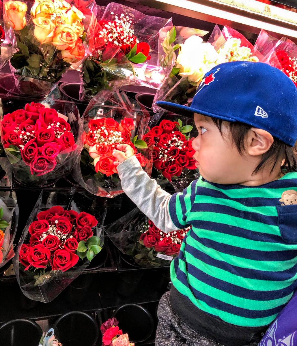 WallEuphoria's tweet photo. 🌸 Lennon helping with ideas and some #FlowerInspo for future wall art decals! 😊♥️

#Wallinspo #Inspo #Inspiration #ColorInspo #Momtrepreneur #Mompreneur #WallArt #HomeDecor #InteriorDesign #WallDecals #Toronto #Mississauga #Brampton #6ix #mommylife #workingmom #babyboy https://t.co/QeLv4ChBVx