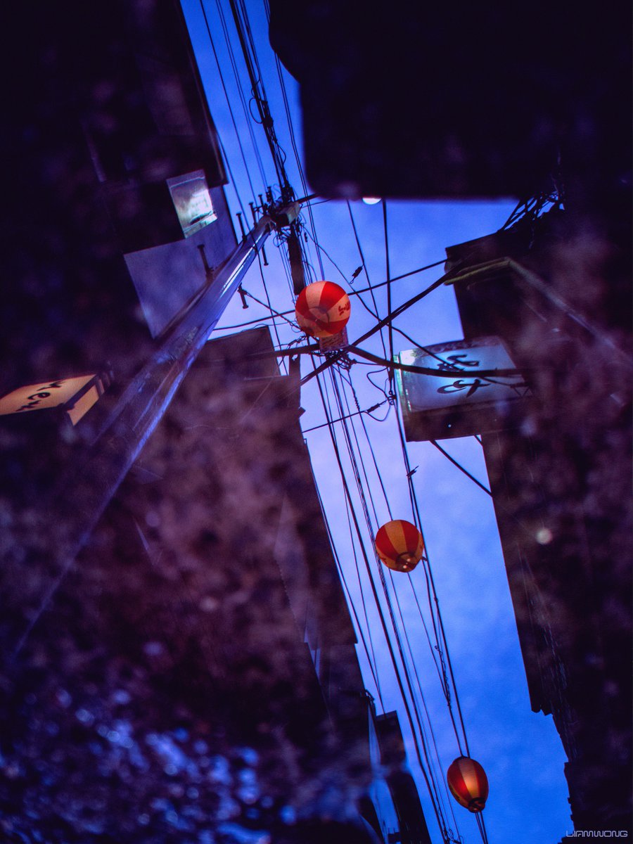 liamwong's tweet image. Happy with these photos I took on my phone 💜