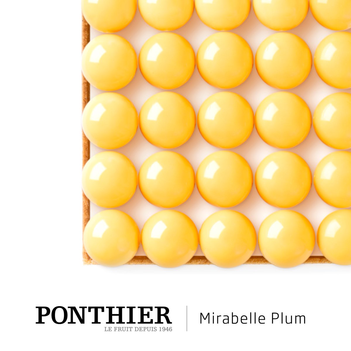 A creamy cake with Mirabelle Plum from Lorraine on a mousse of almond paste made by Eric Ortuno!
#ponthier #puree #mirabelle #pastry #almond