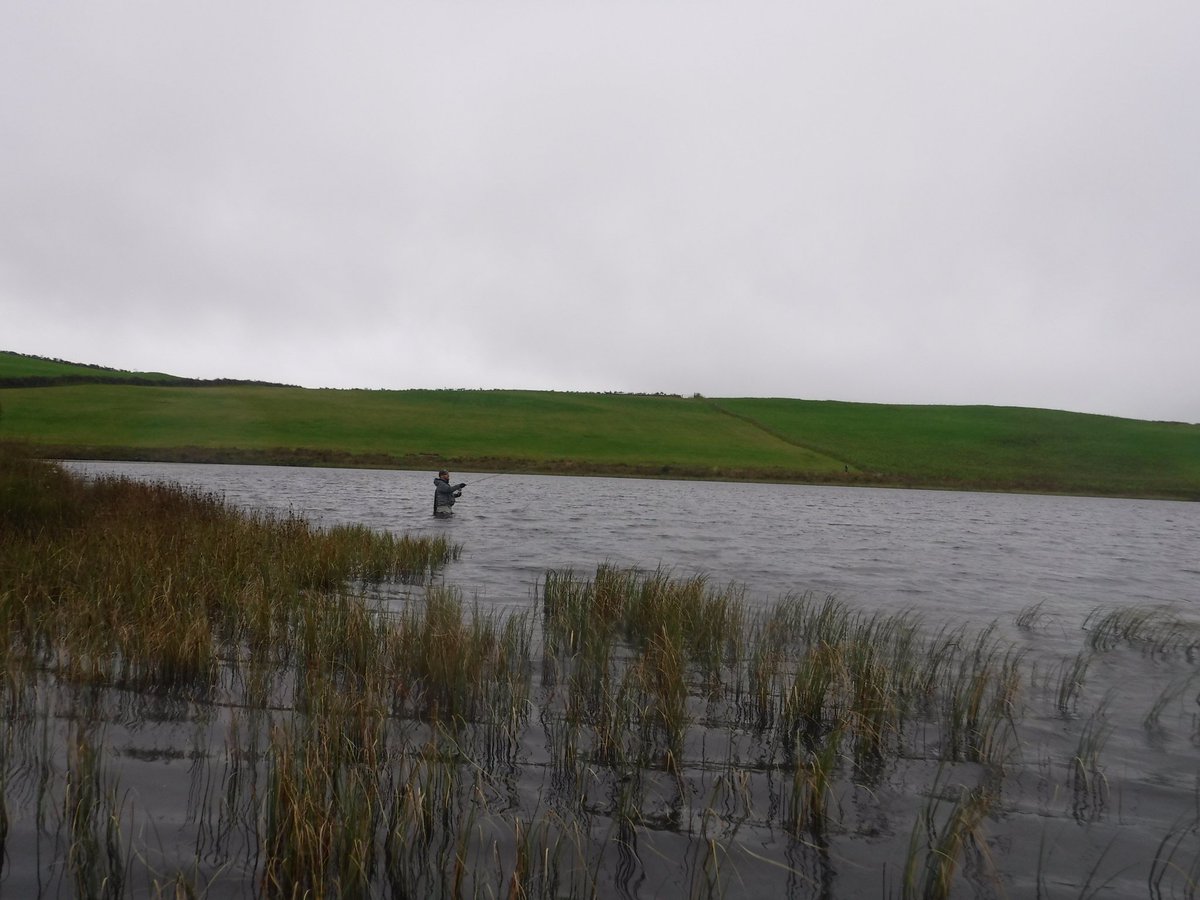 cerivthomas's tweet image. A brilliant days llyn bashing with @LeeEvansWales &amp;amp; @nrc_steedman yesterday. Weather was truly foul with torrential rain, strong winds and hill fog, but the trout obliged as hoped. Numerous fish were captured with some real lumps lost. #perfectconditions