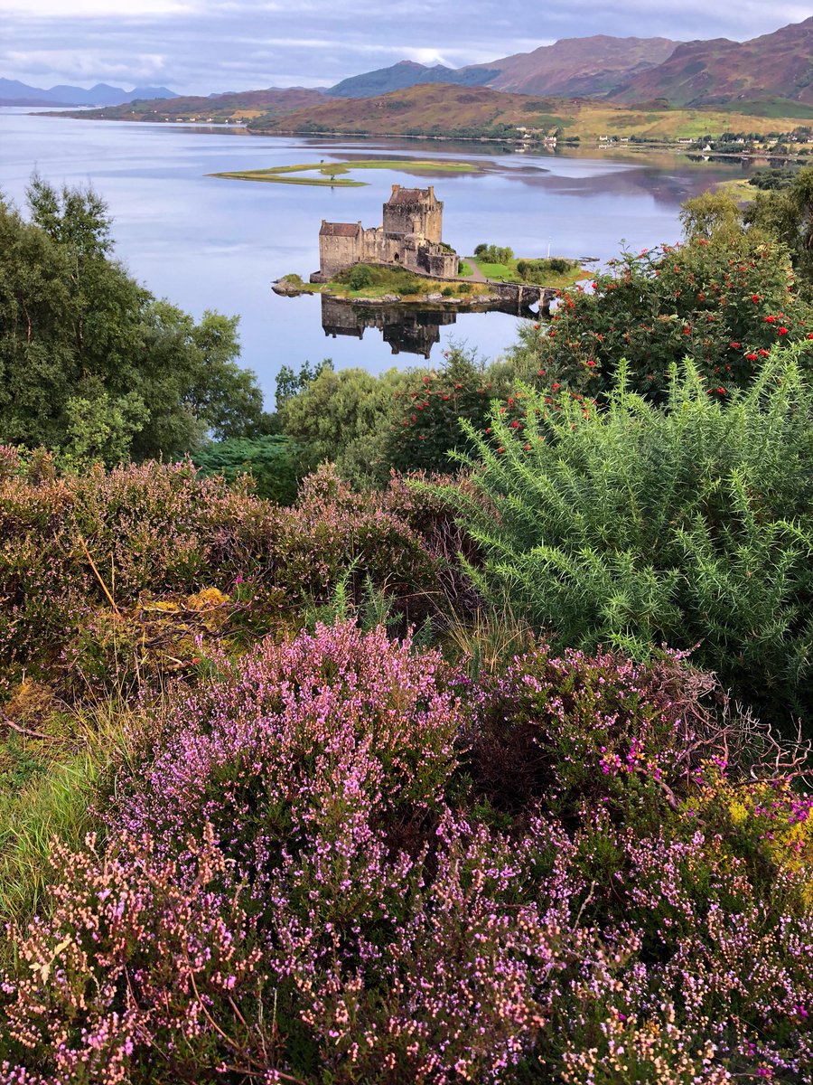 1EileanDonan's tweet image. “Will ye go lassie go....?”

#Scotland