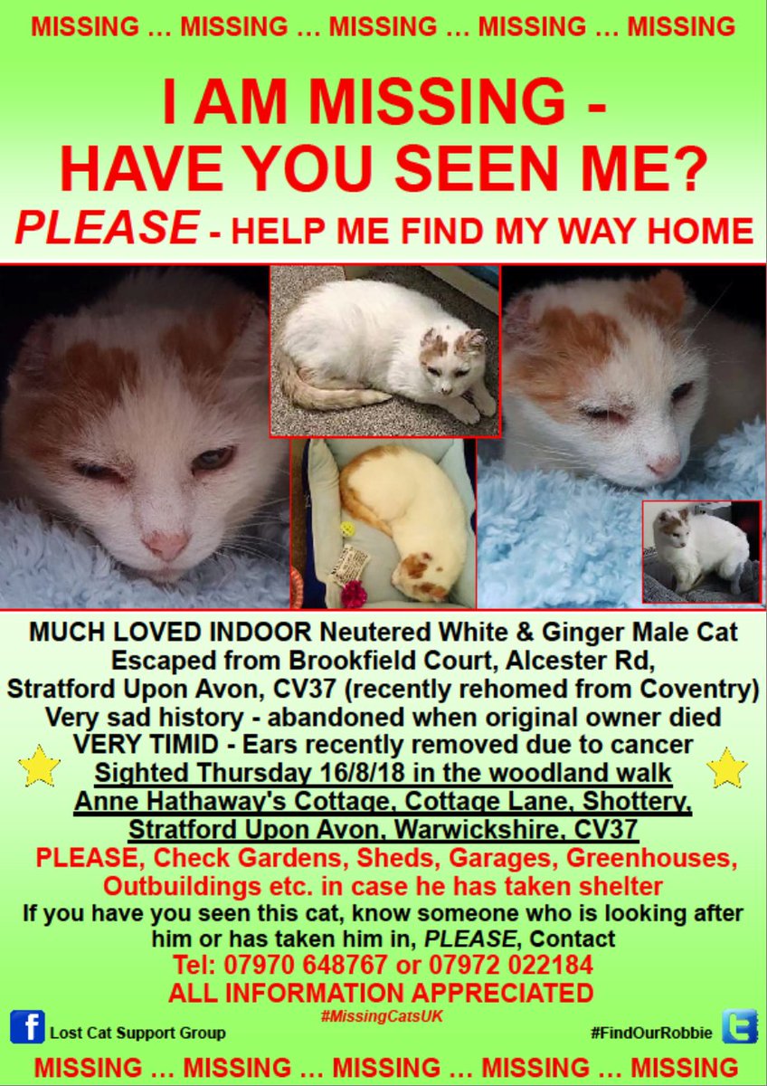 melinda_elizabe's tweet image. Please help find Robbie. We are so worried he is cold and hungry. #LostCat #findrobbie #StratfordUponAvon #AnneHathawaysCottage