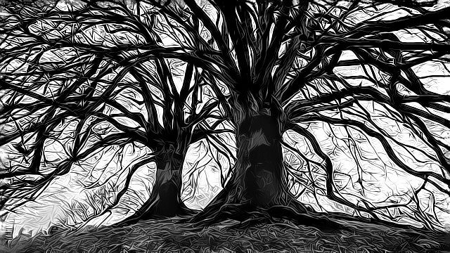 SyldiStudio's tweet image. Les Sylvaniens syldi-studio.com/fil-dactualite…