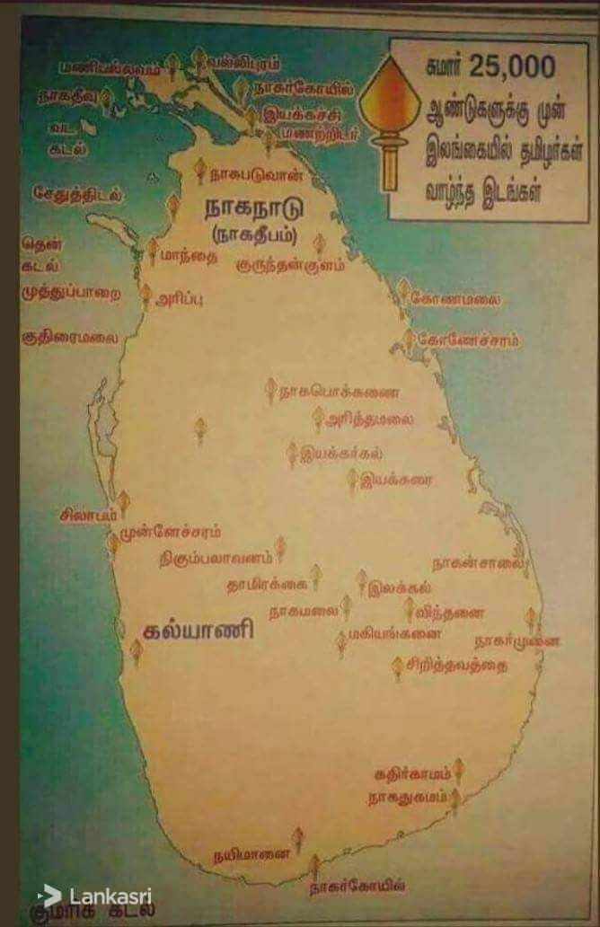 DlmHHOSVsAEPbeq.jpg:large