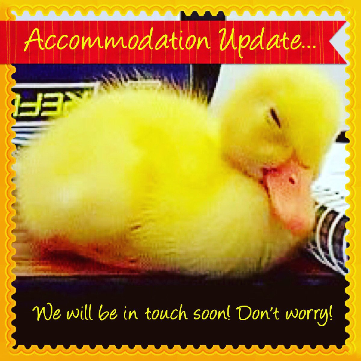 vanmildert1965's tweet photo. We are getting lots of enquiries about accommodation...but don’t worry, we will be in touch soon! Once the documentation deadline has passed on 3 Sept we will start the room allocations and be able to send you your Licence Agreements. We do this as fairly &amp; quickly as we can! https://t.co/ZNEwkMk0me