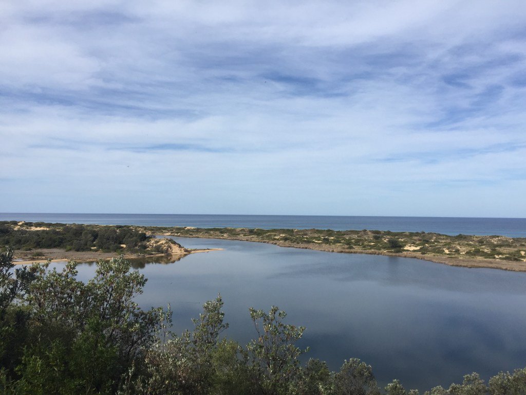 LesleyIlconnor's tweet photo. Travelling along the Princes Highway Sydney to Melbourne, it is worth taking the scenic route towards Marlo to discover the Mouth of the Snowy River Estuary #snowyriver #marlo #soulblogsRT #goldenblogsRT #blovlove2018 #blogvue https://t.co/HID2G7piq8 https://t.co/py7SeXL3en