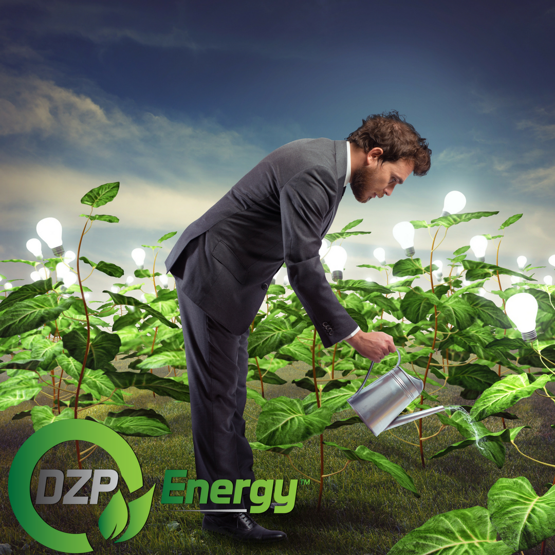 DZP Energy tweet media