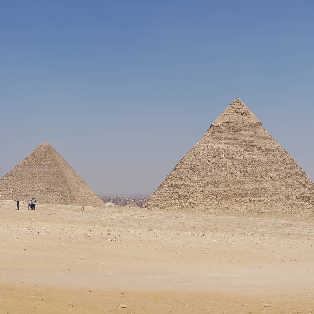 Delano Boer tweet media