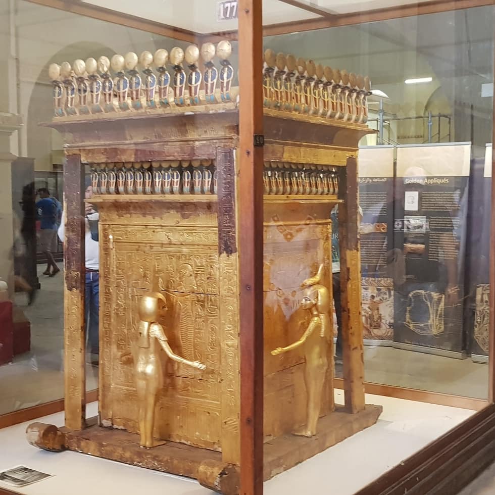 Delano Boer tweet media