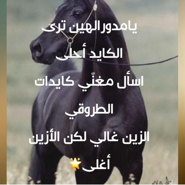 علي الحروبي 1y8eqbe77jvtbou تويتر