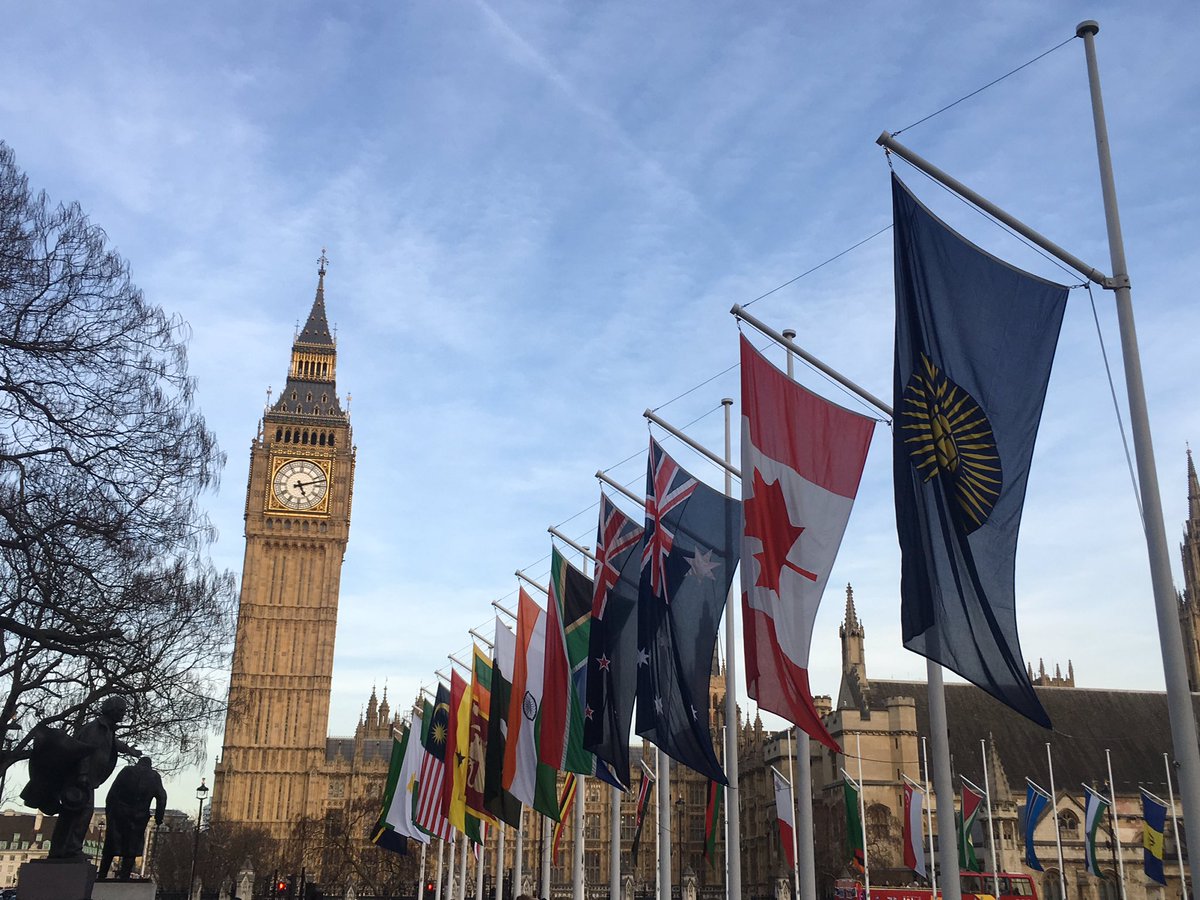 Tim Hewish 🇨🇦🇦🇺🇳🇿🇬🇧 tweet media