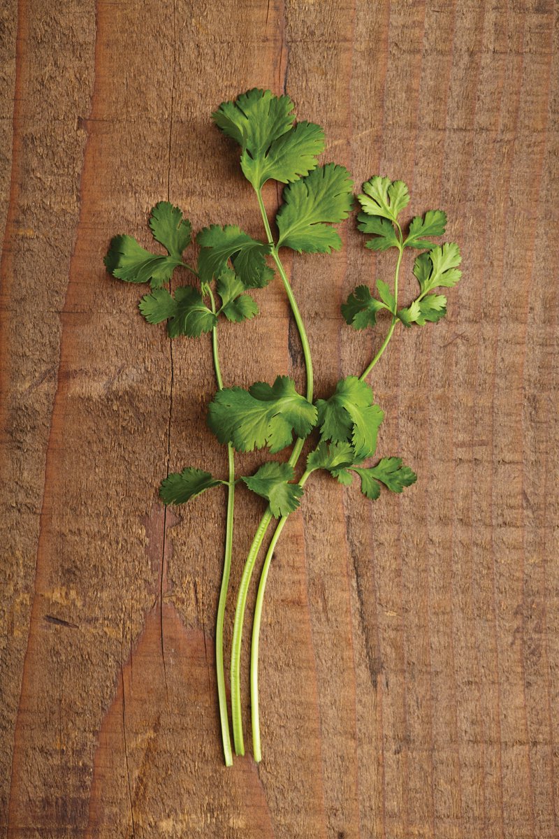 Did you know that the whole #coriander plant is edible? Cilantro, otherwise known as #Chinese #parsley or coriander can be chopped and eaten whilst the seeds are dried and commonly used in cooking as a spice. #foodfacts