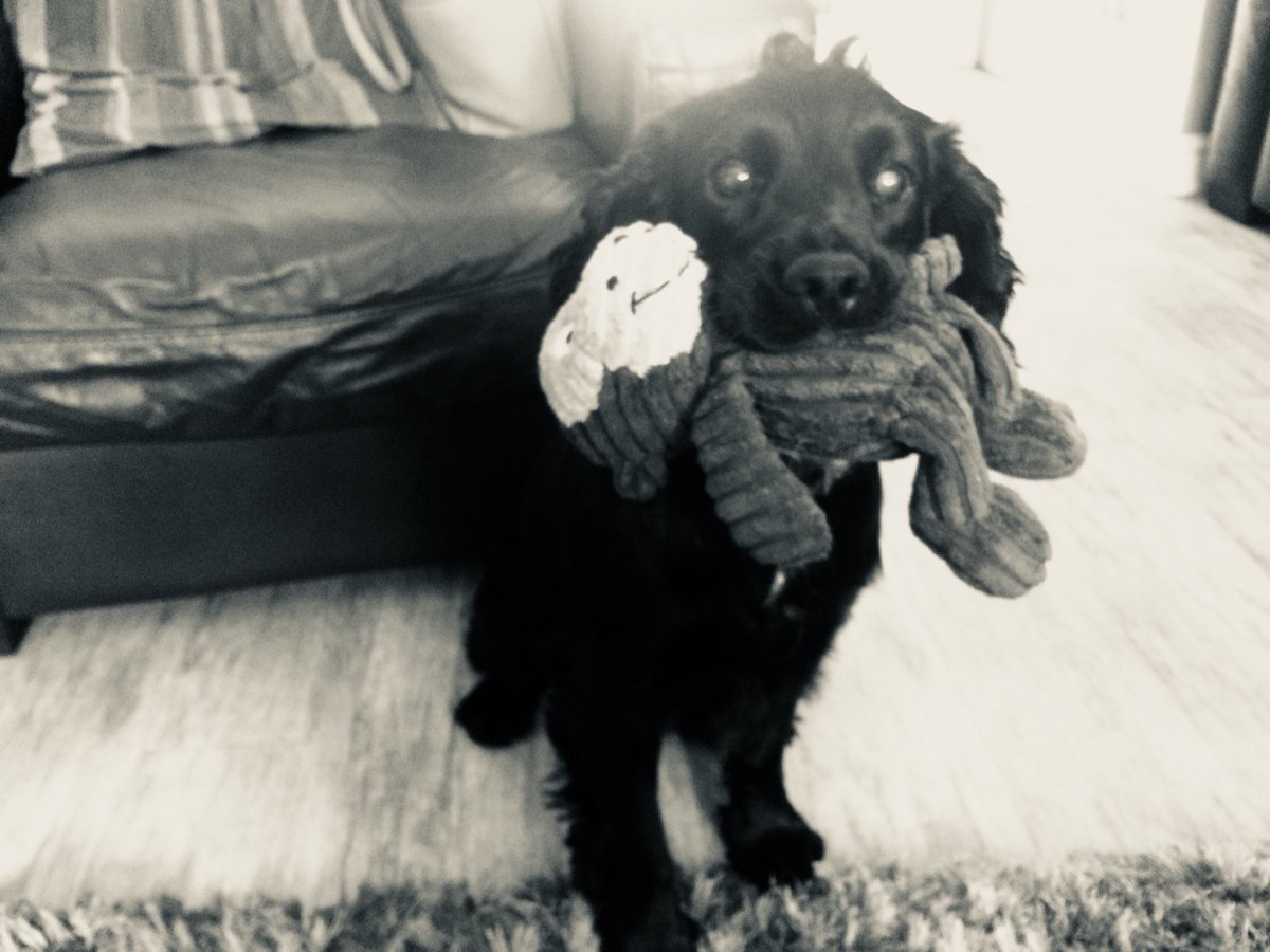 My life in black and white. No humans, no explanation. Day 1/7 today I nominate <a href="/JanetHall_NC/">Janet Hall</a>