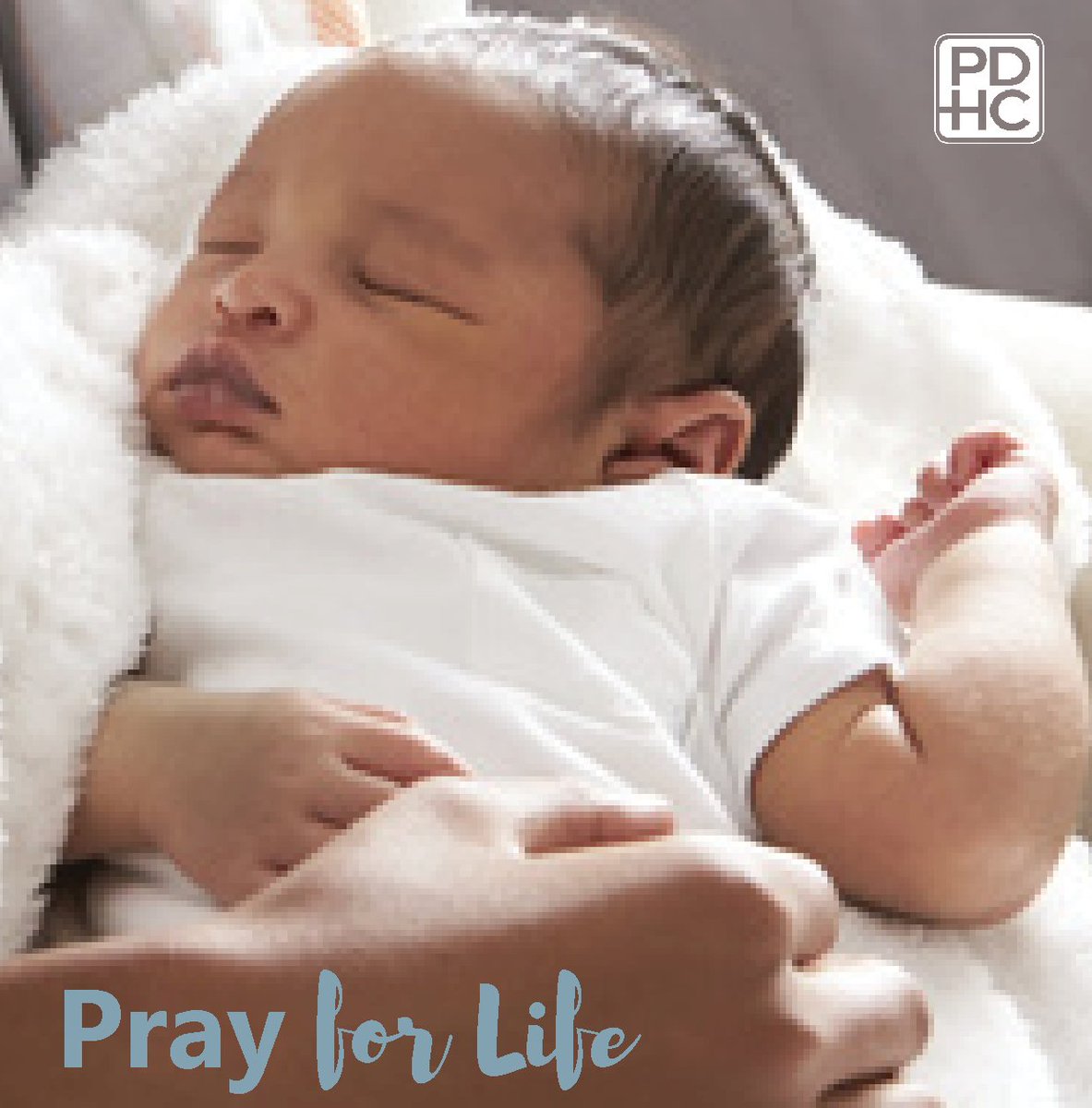 PDHC_Cares's tweet photo. Please say a prayer with us specifically for 2 young women who reached out for help last week and are undecided about continuing their pregnancies. #lifeisbeautiful #pdhc #welovebabies #celebratelife https://t.co/pXXjzUSVCL