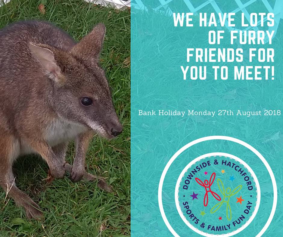 Downside Sports Day tweet media