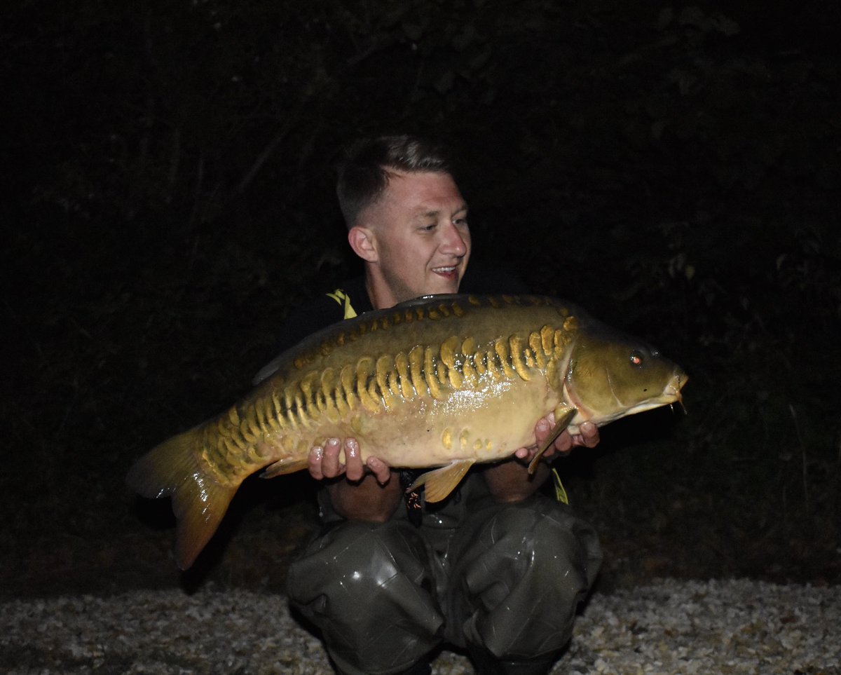 DanDyer86's tweet photo. Another great month on #manor. Quick moving and heavy baiting in holes amongst the weed helped me bank numerous carp #linear #manor #homefromhome #newbait https://t.co/AzrcZwuVuU