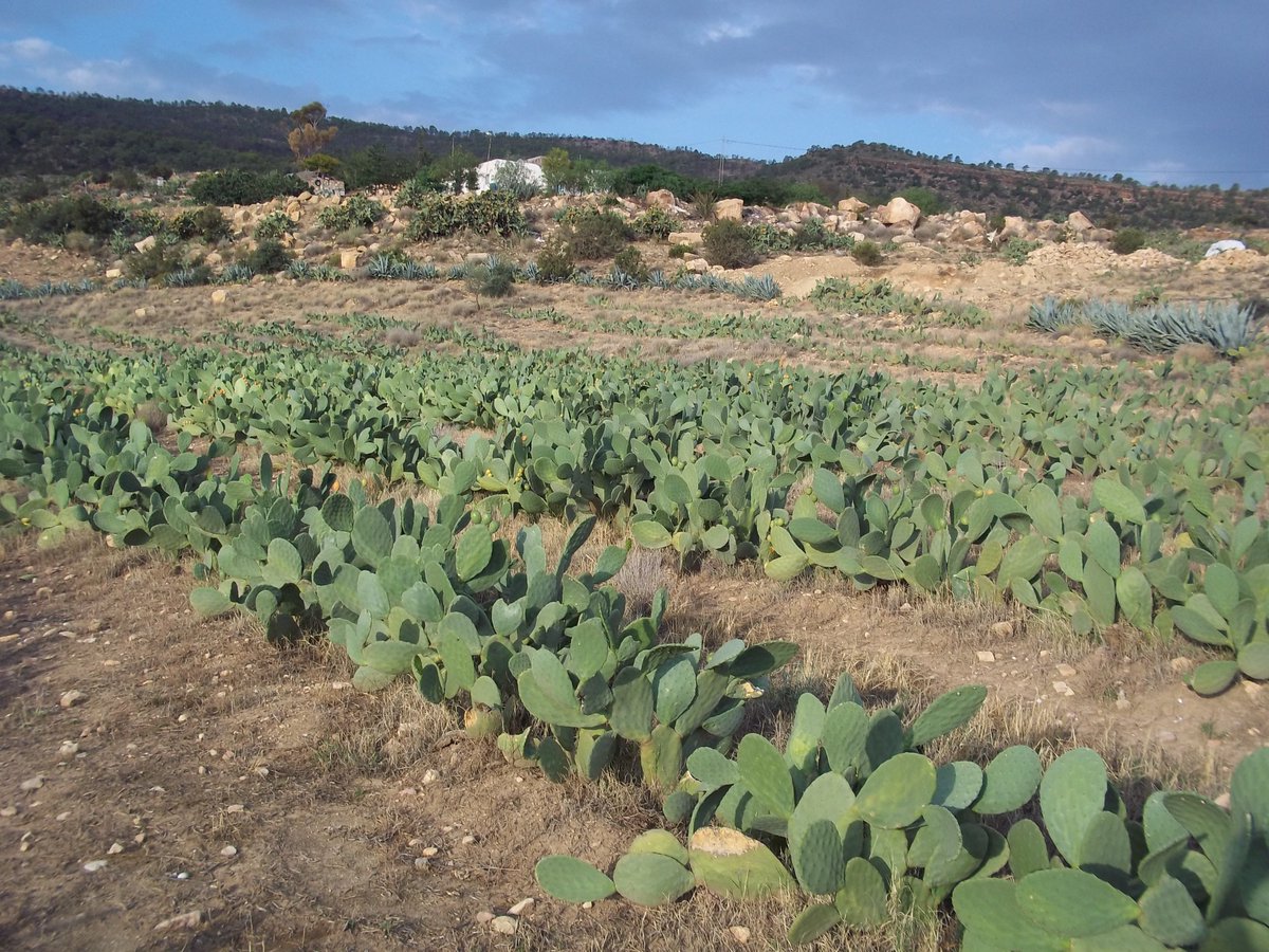 SmidaSamali's tweet image. la simplicitee de vivre