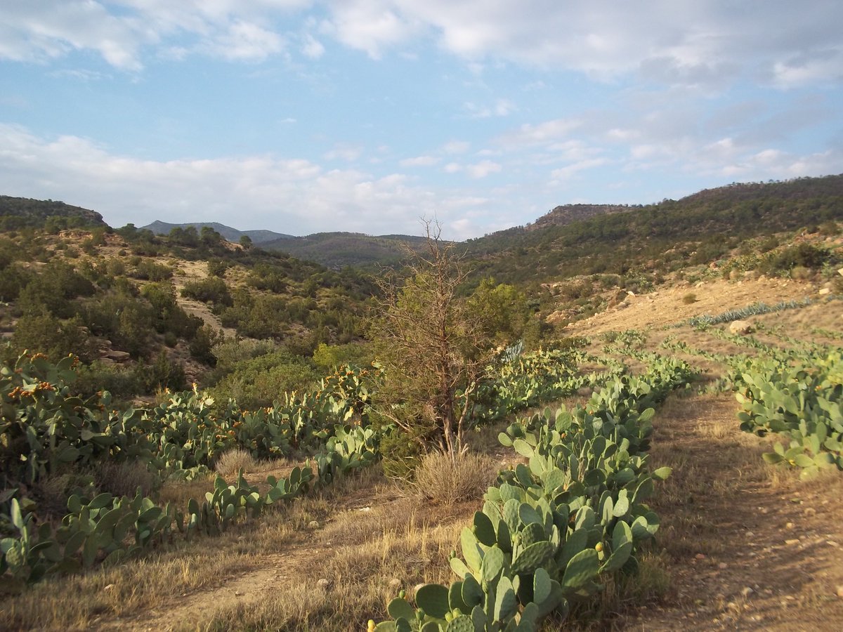 SmidaSamali's tweet image. la simplicitee de vivre