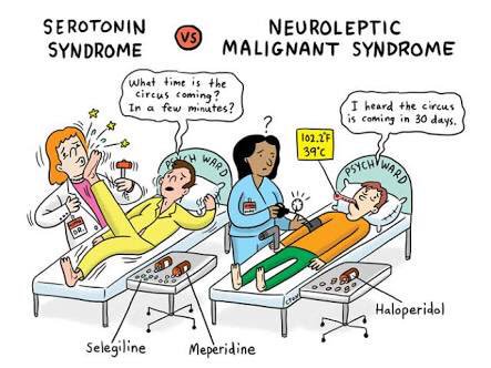 sonia mattews (@JPedCare) | Twitter