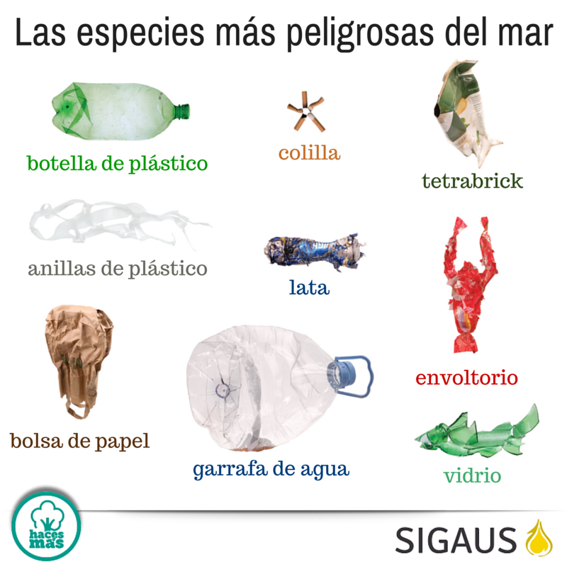 Ecoprácticas tweet media
