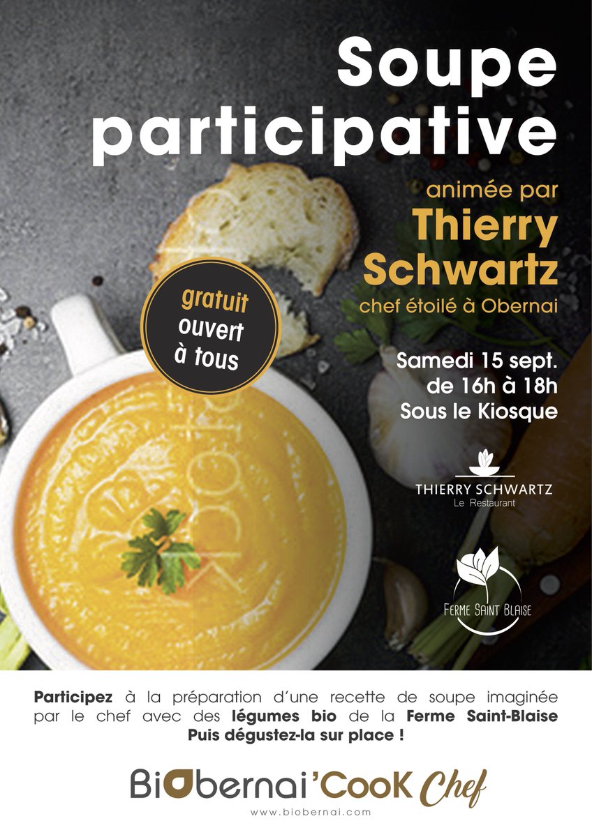 BiObernai tweet media