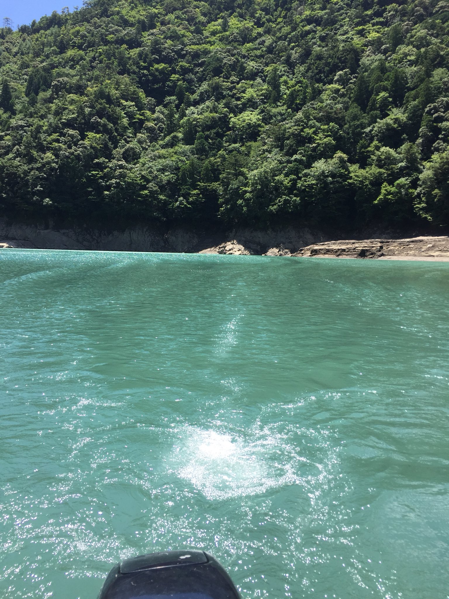 تويتر 松本プロ على تويتر 夏休みに行った秘境風屋ダムで偶然にもイヨケンさんに遭遇 アメリカのバス釣りの話聞けたりでめっちゃ気さくな人でした 減水のせいか昔ほどのパラダイスでさありませんでした イヨケン 風屋ダム T Co Ptnonszy5n