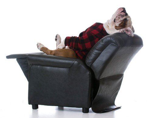 AllThingsErgo's tweet image. Best Ergonomic Recliners dlvr.it/QhCYC5