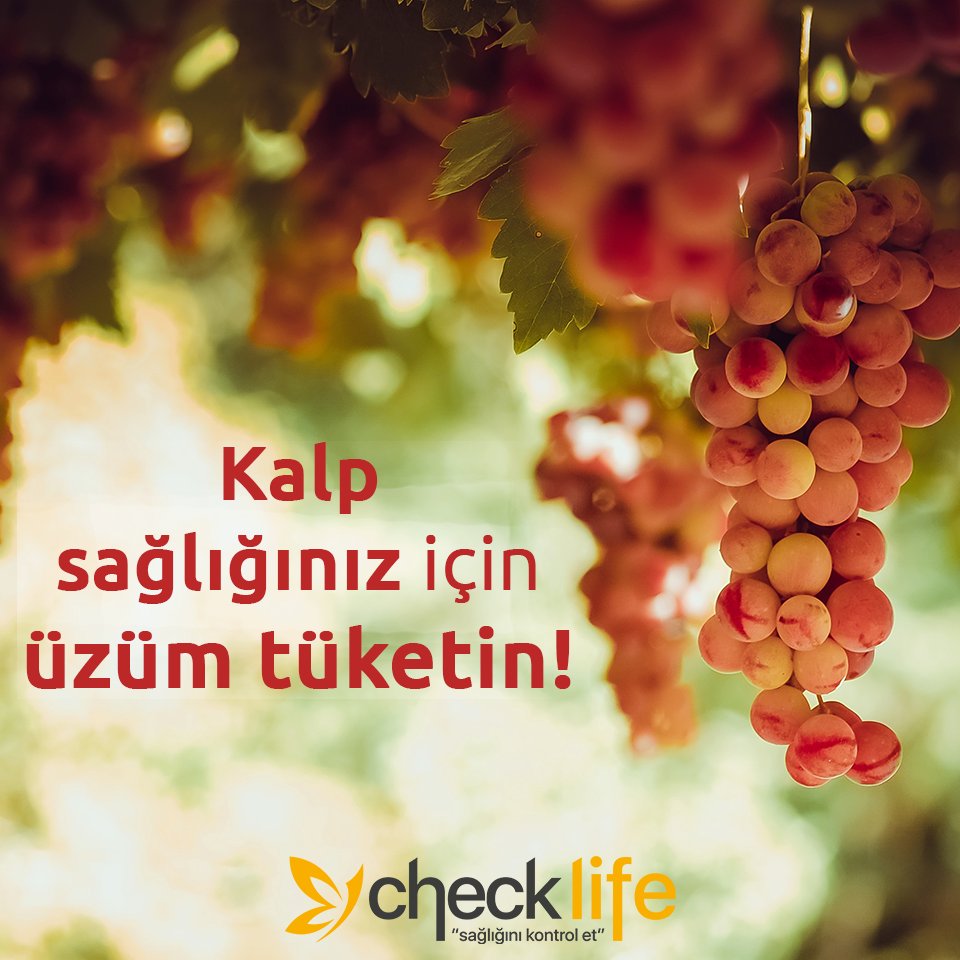 Üzümler çok ufak olmalarına rağmen sağlık açısından çok faydalı meyvelerdir.  Çekirdeği çok güçlü bir antiokasidandır, kalp krizi riskini..  facebook.com/checklifesagli…ıyor.

0850 305 50 51 - 0258 911 08 48
checklife.com.tr

#üzüm #sağlık #sağlığınıkontrolet #sağlıklıbeslen