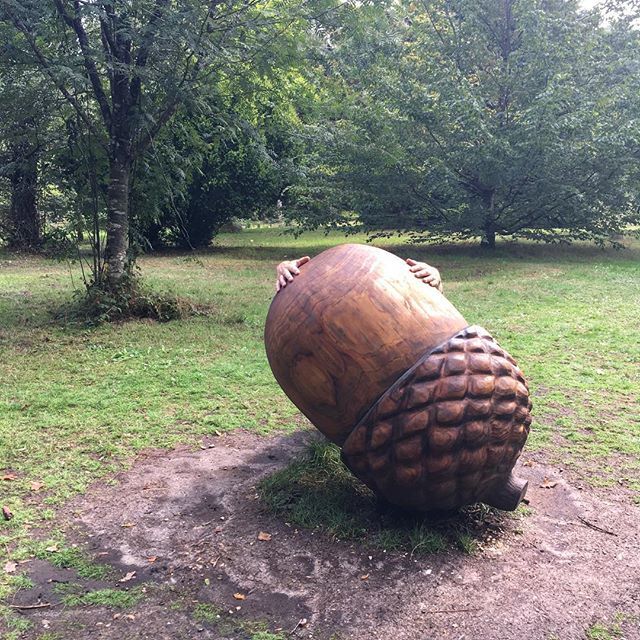 Choclette8's tweet photo. The incredible shrinking CT. Or is it just those ginormous acorns they grow in the New Forest?
.
.
.
#newforest #landart #woodart #forestsculpture #acorns #quercus #arboretum #dayout #fbc18uk
#scrumptiouslife #fbcuk16 https://t.co/mdMhy1amYh https://t.co/Mg3CvsunDN