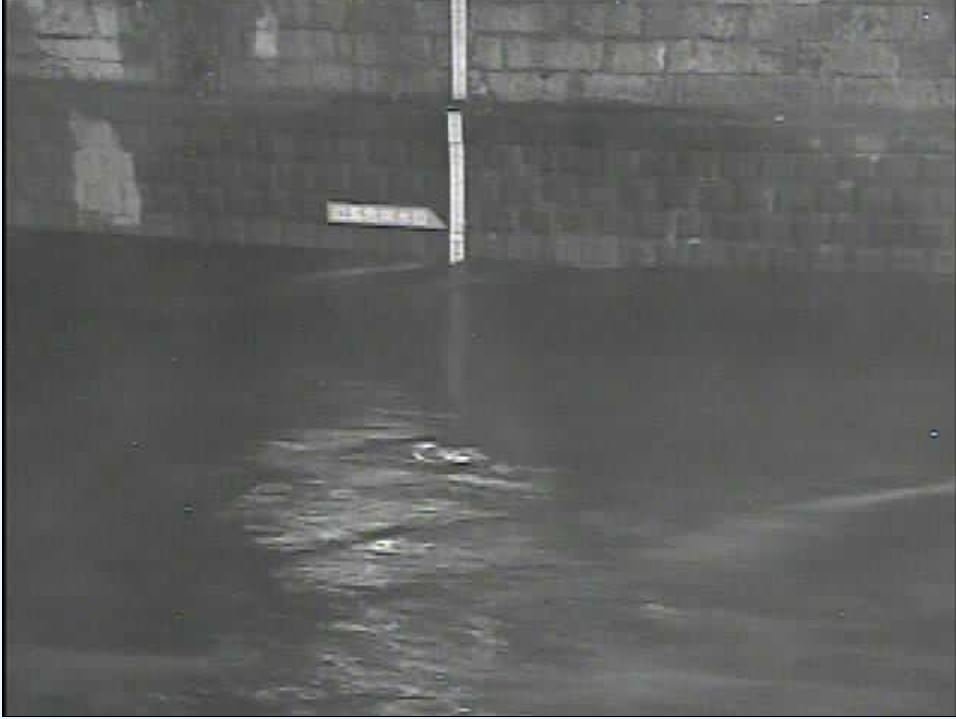 ট ইট র Ya Surin 東京都 河川ライブカメラ 目黒川 時45分 渋谷川 時44分 古川 時45分