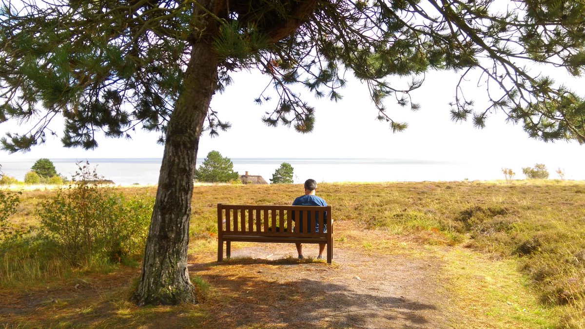 apipkin1's tweet image. Perfect reading spot :-) 
#summervacation

Now waiting for Olympus...
#FOREVERMAN