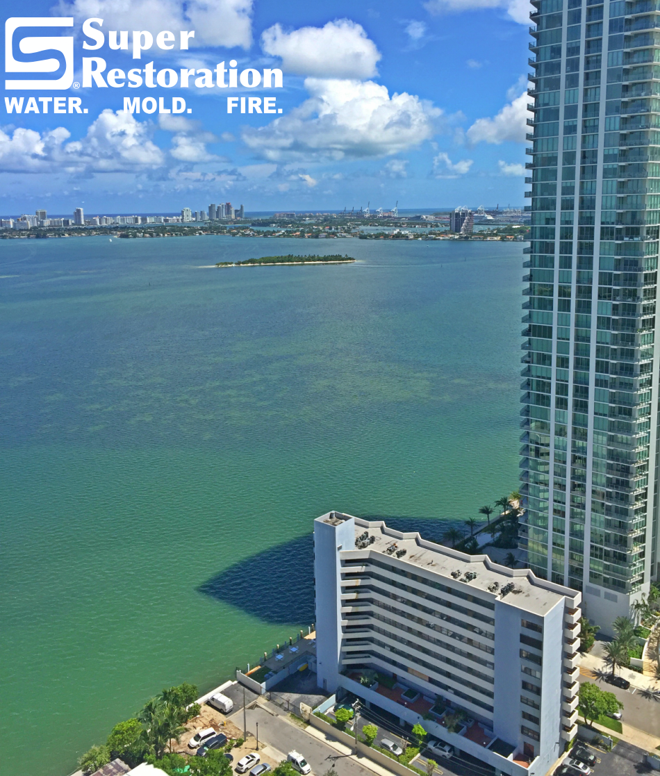 SuprRestoration's tweet photo. ☀️☀️ Happy Monday SUPER friends! Take a look at this amazing photo taken by one of our SUPER employees. It doesn't get much more beautiful than this! ☀️☀️
#SuperRestoration #TeamSuper #MiamiViews #RestorationMiami #MoldRemediation #MoldRemediationMiami https://t.co/mXRAGT9lLh