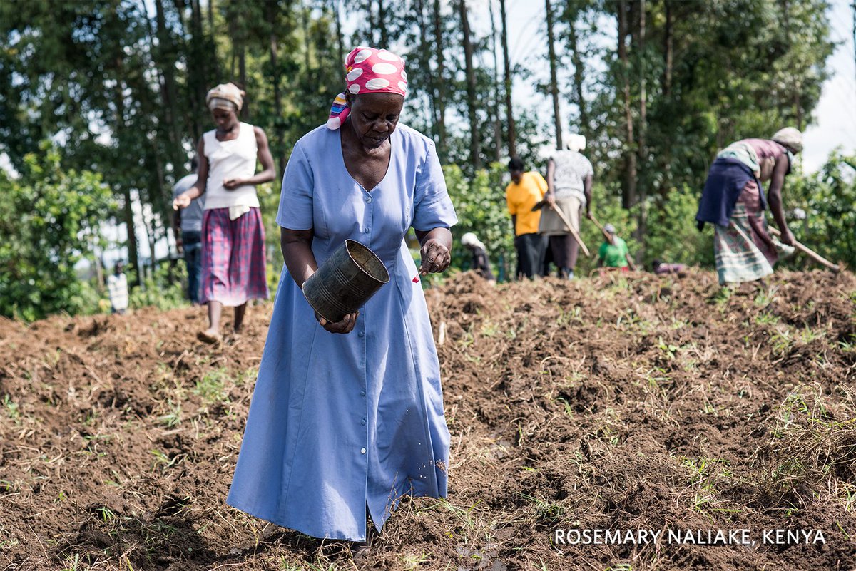 OneAcreFund's tweet photo. Challenge or opportunity? Smallholder farmers make up nearly half of the world's hungriest people. @FAOstatistics https://t.co/tt2BMAwEW6