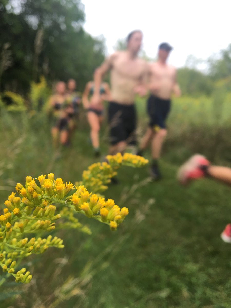 CUAATFXC's tweet image. First day of school! For our XC teams, their first day of school starts with a 2.5 mile hill workout. #firstdaybestday