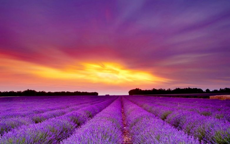 New BIOPAC Blog Post - Understanding Stimulus Presentation Studies

Read here: ow.ly/YMCy30lxZNr