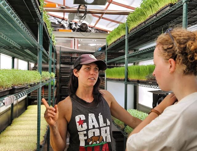 Agrovelocity (@agrovelocity) on Twitter photo Produire ses micro-végétaux en #ville puis les distribuer en #vélo aux restaurants et magasins #bio de #Vancouver ? 🇨🇦 Bienvenue chez <a href="/thefoodpedalers/">The Food Pedalers</a> 🚴♂️
#agricultureurbaine #urbanfarming #microgreens #fraicheur Produire ses micro-végétaux en #ville puis les distribuer en #vélo aux restaurants et magasins #bio de #Vancouver ? 🇨🇦 Bienvenue chez <a href="/thefoodpedalers/">The Food Pedalers</a> 🚴♂️
#agricultureurbaine #urbanfarming #microgreens #fraicheur