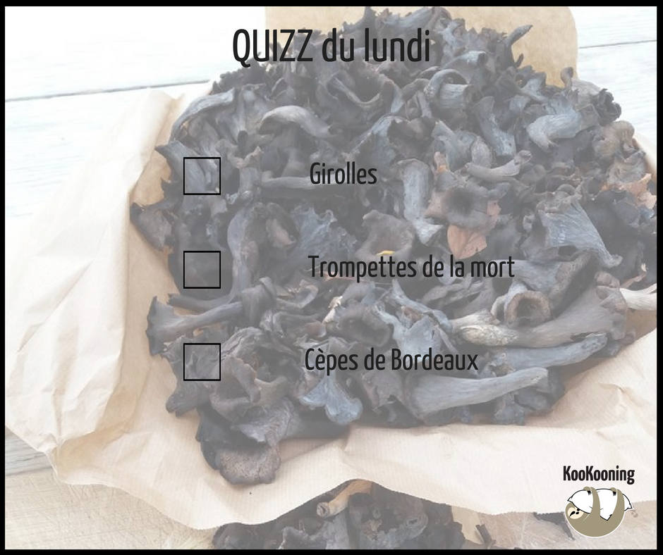 KooKooning_FR's tweet photo. #Quizz du Lundi ! 🎲
La saison des #champignons approche 🍄
Si vous séjournez chez nos KooKooneurs de L'Ancienne Bergerie, vous aurez peut-être la chance d'y goûter 😋
 ➡️ Saurez-vous reconnaître cette délicieuse variété de champignons ? 🤔 https://t.co/SOLfR4hodl