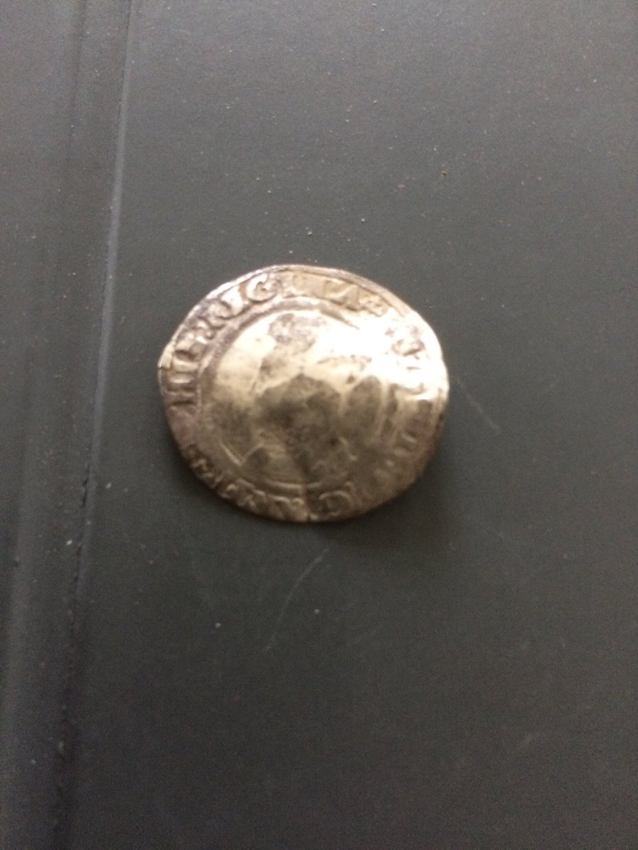 pauldwright3's tweet image. Today silver hammy Lizzy1st 1560 Happy days 😊