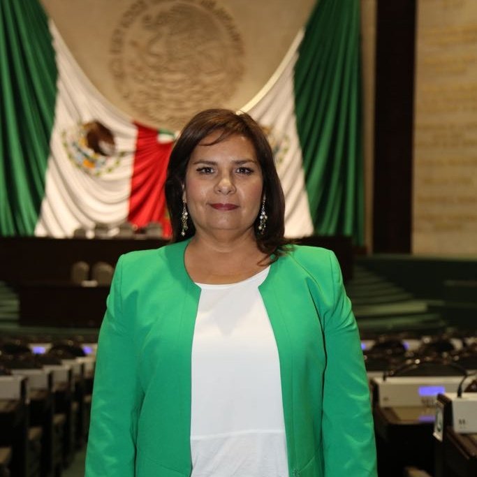 BetyManrique's tweet photo. Concluido mi proceso de registro como diputada federal me comprometo con #Gto, y con #Mexico.
Mi experiencia y conocimientos, estarán por las causas en las que creemos y las que nos ha mandatado la sociedad desde mi grupo parlamentario del @partidoverdemex https://t.co/UdXJglbrVW